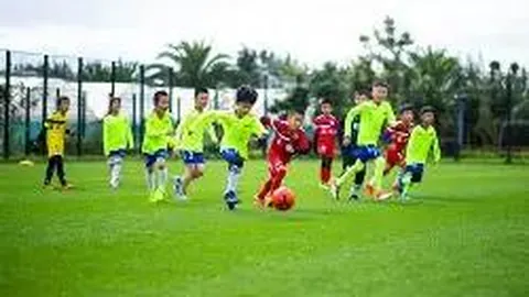 2025年Q3斗鱼财报解析：盈利稳定增长，AI助力垂直领域拓展新格局