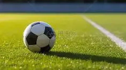 2025年度教职工篮球赛事完美收官